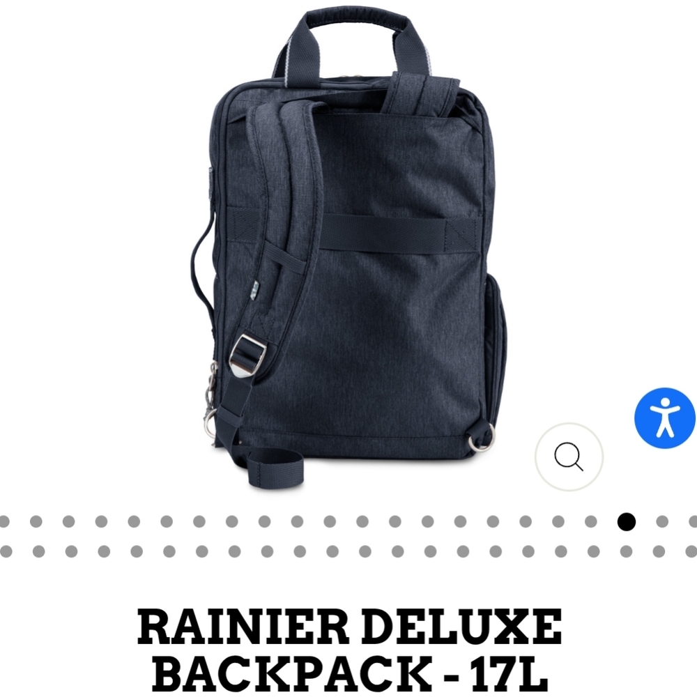 The Skyway Luggage CO The Rainer Collection Deluxe Backpack 17L